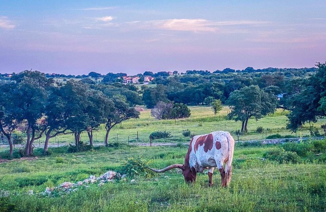 Beautiful Texas Hill country, amazing views, and farm living