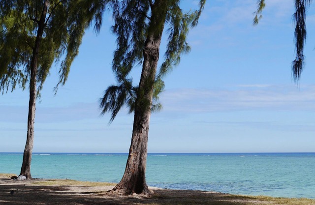 Beautiful vacation apartment on the long, fine sandy beach of Flic-en-Flac