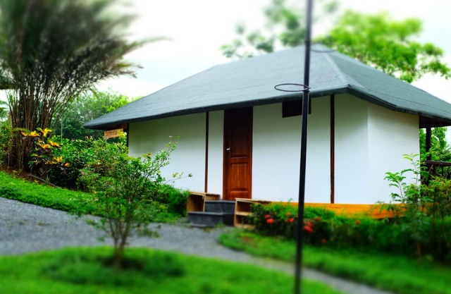 Beautifully crafted cabin with fine wood. Bird songs, this is the perfect place.