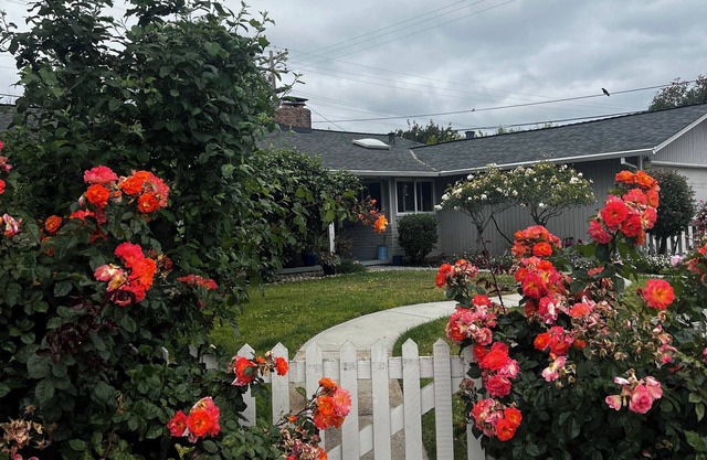 Bedrm & Bath with large backyard in charming house in Sunnyvale!