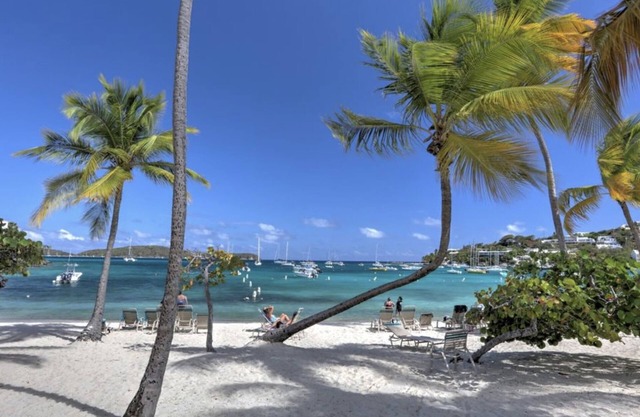 BELLA VISTA Villa - Cowpet Bay West; Beach, Pool, Restaurants, Views, & Breezes