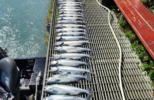 Best Location on the Kenai River!