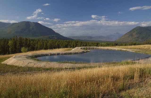 Best Mountain Views of Glacier Park, West Glacier! One mile from Glacier Park!