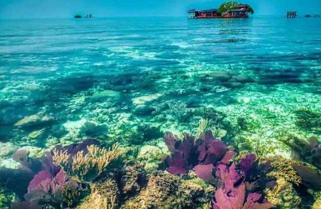 Bird Island - a unique private island experience.