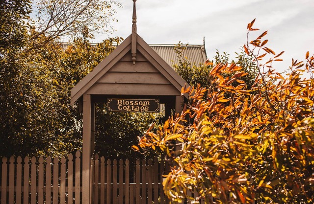Blossom Cottage Blackheath couples family friendly gas log fire bush walks cafes