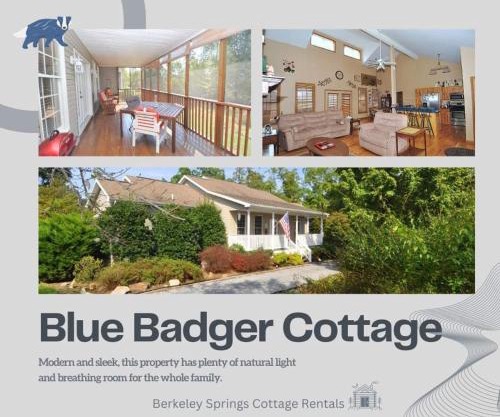 Blue Badger Cottage -Wifi, Fire Pit, Fireplace, Screen Porch, Game Room, King Bed, Grill