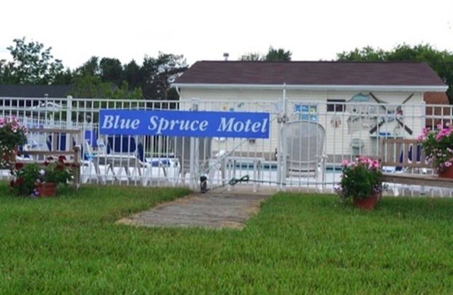Blue Spruce Motel