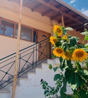 BOKAS EXOTIC HOUSE