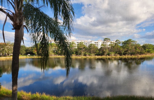 Bonita Springs/Naples Florida condo, 5-mins from the beach, with lake view!