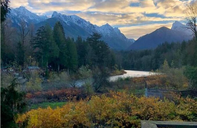 Bonny Sky Lodge- private riverfront log cabin w/mountain view, hot tub, generator backup!