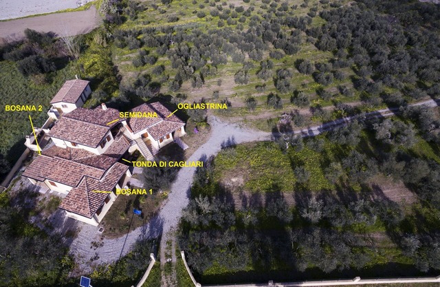 Bosana 2 apartment