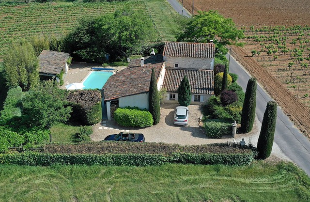 Bouton d Or - Gargas, Provence