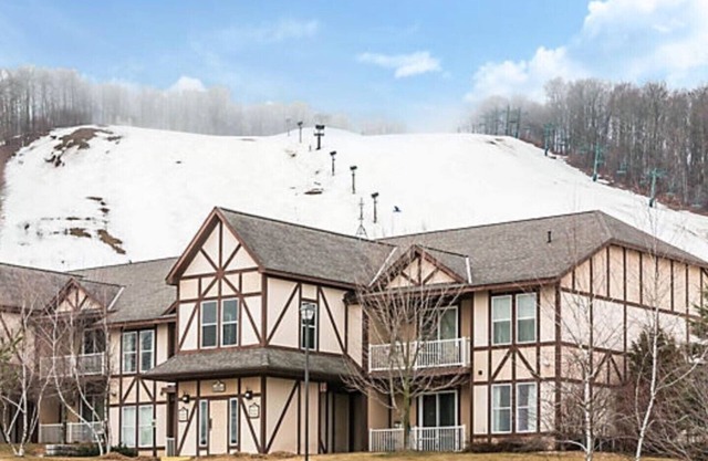 Boyne Mountain 1 BR Condo (A), Full Kitchen, in-unit washer/dryer, fireplace