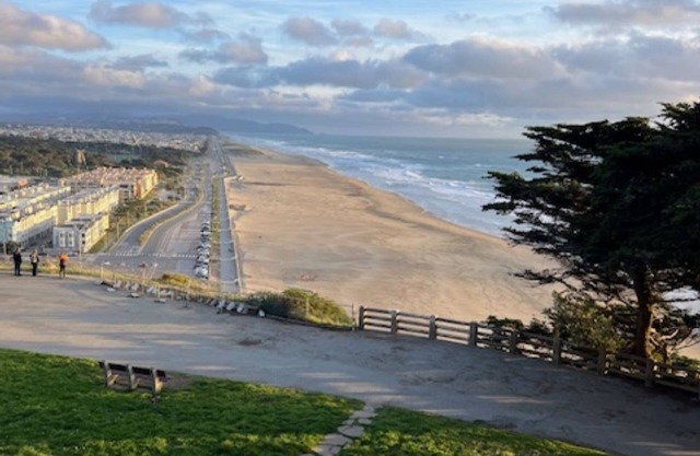 Breath-taking nature-in the city of San Francisco!