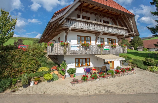 Breigenhof - Apartment Leibgeding 100sqm - sunny location