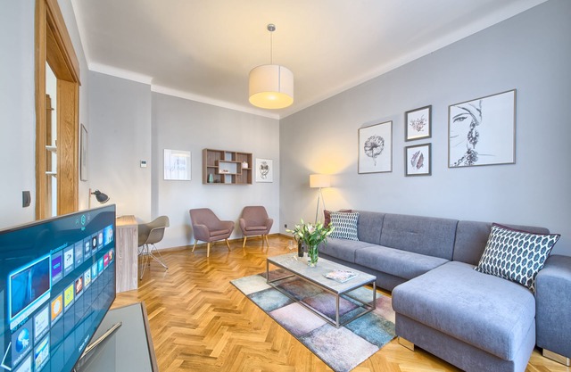 Bright And Spacious Historical Two-Bedroom Apartment | Dusni