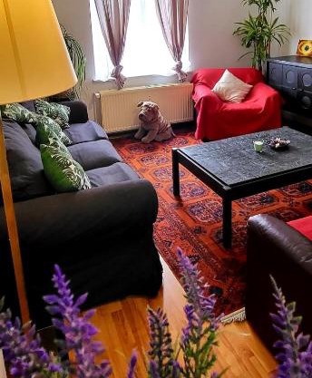 Bright studio close to Zaventem airport