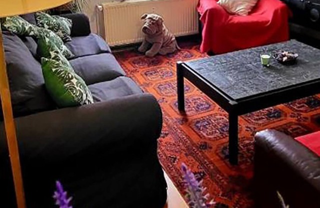 Bright studio near Zaventem airport