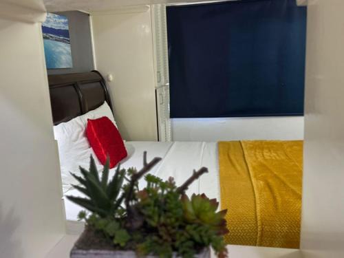 Budget Kingston Classic - Kensington Nest
