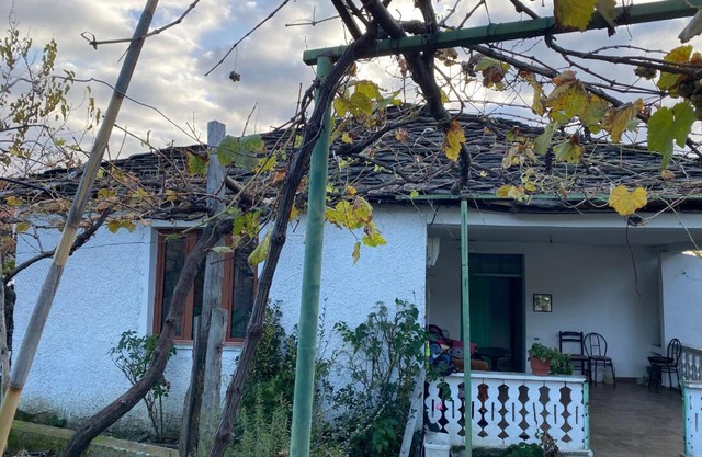 Bujtina Lubinja