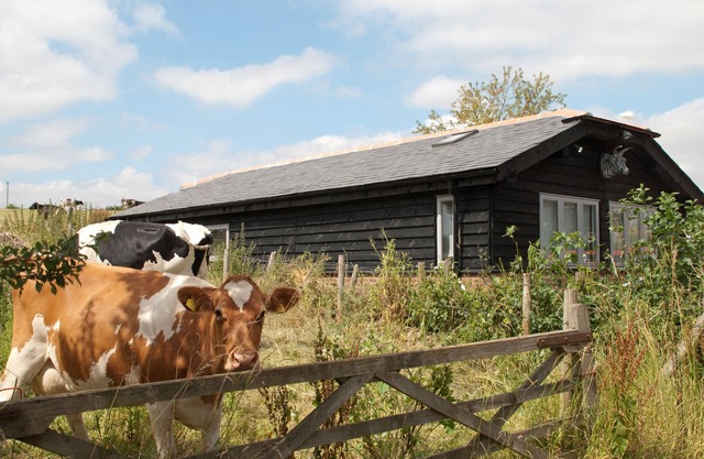 Bull Farm Studios