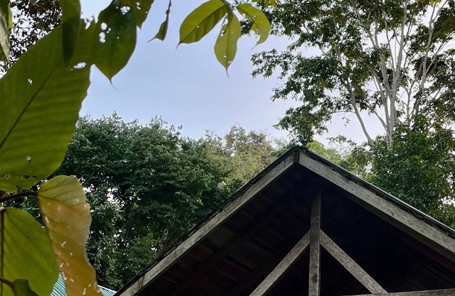 Bungalow 2- Finca Talok is a perfect space in Cahuita to relax