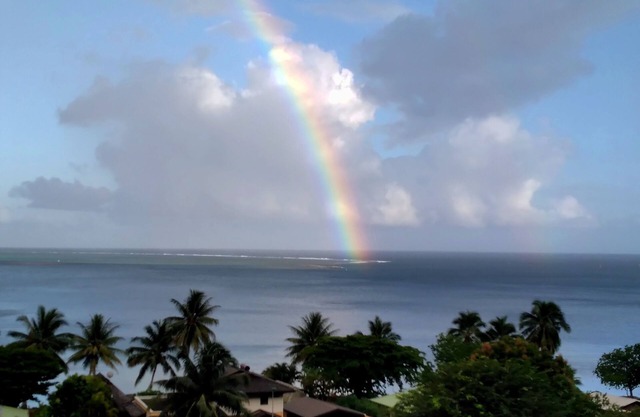 Bungalow Tropical Sunset, exceptional view of Cook Bay Paopao