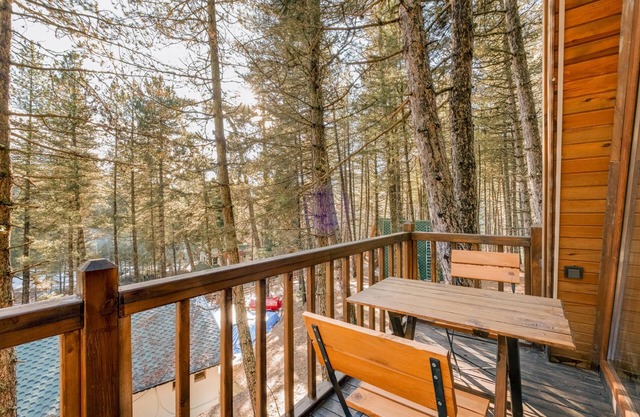 Bungalow with Balcony in Nature Near Dipsiz Lake