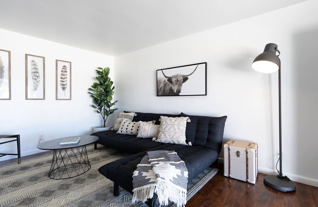 C3- Modern Black & White Interior w/a Warm Boho Edge