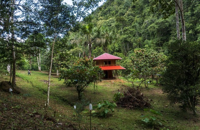 Cabaña Familiar en el Bosque Amazónico. Ideal Para Desconectar de la Tecnología