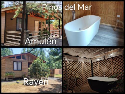 Cabañas Pinos del Mar