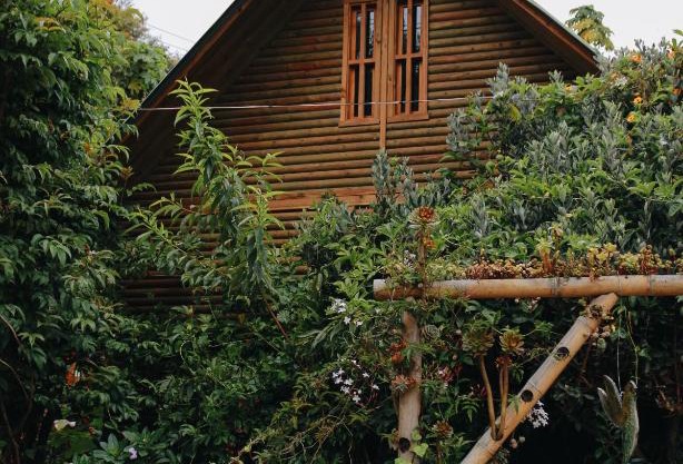 Cabañas Sinduly Bed & Breakfast