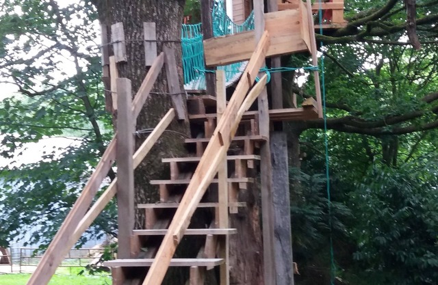 Cabane Dans Les Arbres - Le Nid Dans Le Chêne