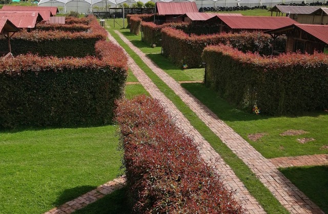 Cabanas en Suesca Cundinamarca