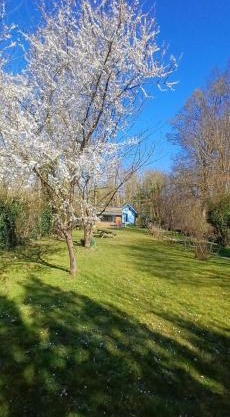 Cabane bleue des Hortillonnages