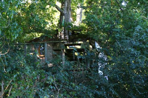 Cabane dans les arbres