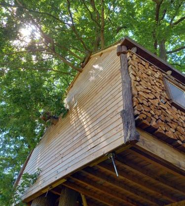 Cabane suspendue dans les arbres