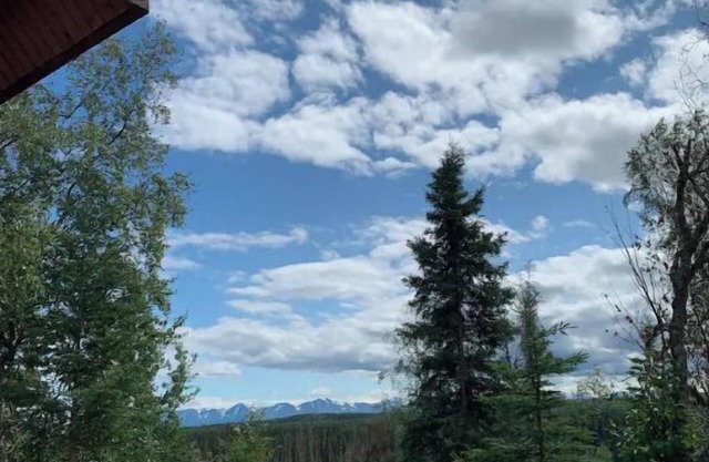 Cabin 5 on the Kenai River