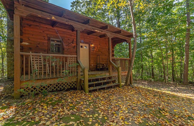 Cabin #8 - The Shadows | 1 Bed, 1 Bath