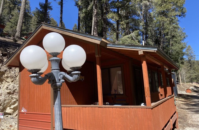 Cabin in the woods 2 miles from Village