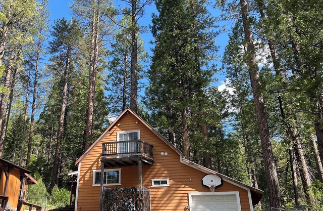 Cabin surrounded of beautiful nature for creating memories w/family or friends.