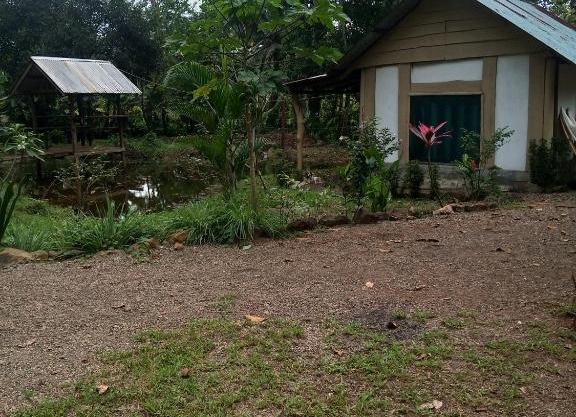 Cabinas Casa jungla