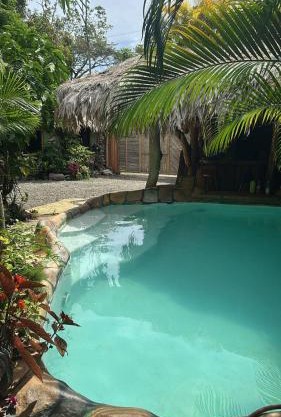 Cahuita Vibe
