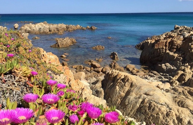 Cala Liberotto: Terraced house with garden - Cala Liberotto (Orosei) -App. 6