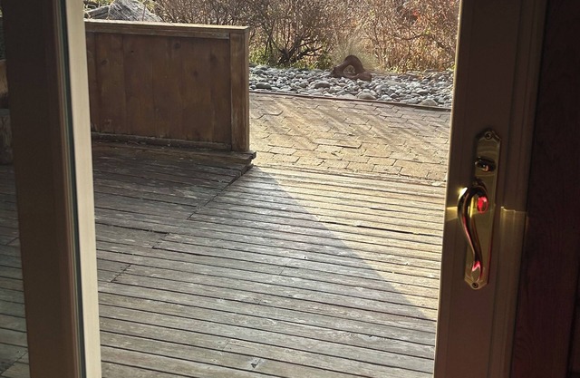 Camano Waterfront Beach Log Cabin