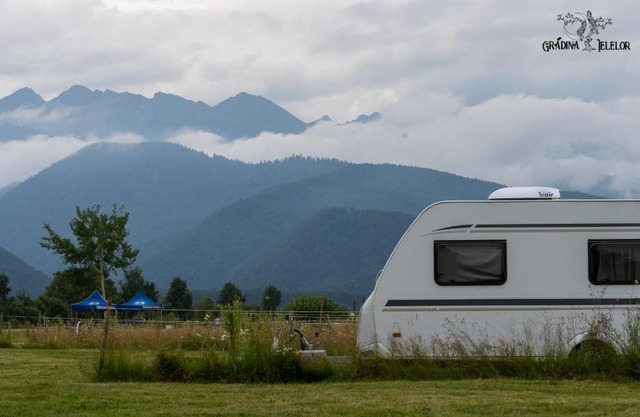 Camping & Glamping GRADINA IELELOR