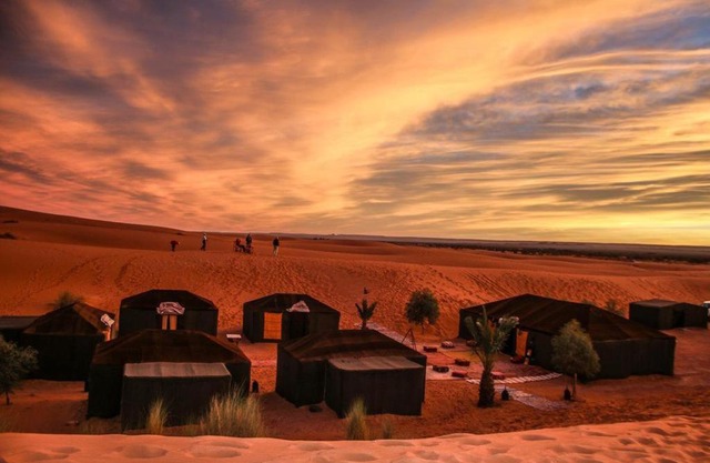 Camp Sahara Holidays