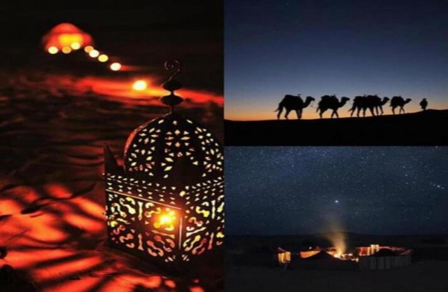 Camp Sahara Travel