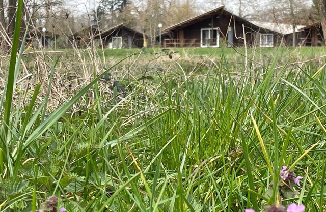 CAMPING DE LA CHALARONNE