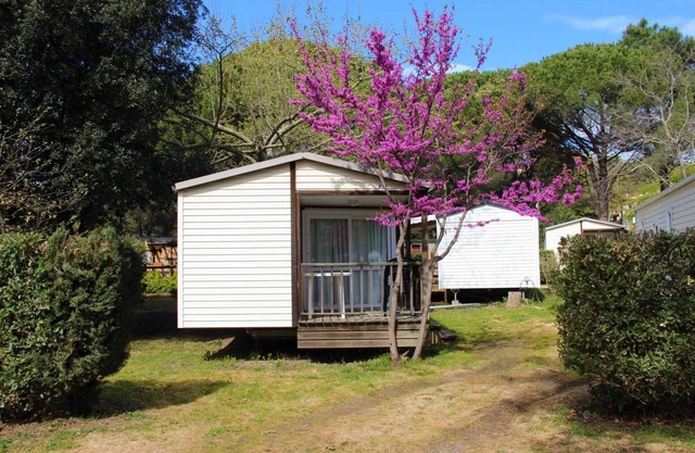Camping 3 étoiles - Piscine - cca0gbe